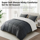 INGALIK  Sherpa Comforter Set, Soft Quilted Down Alternative Comforter Reversible Duvet with 2 Pillowcases, Plush Warm Fall Winter 3 Piece Bedding Sets