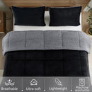 INGALIK  Sherpa Comforter Set, Soft Quilted Down Alternative Comforter Reversible Duvet with 2 Pillowcases, Plush Warm Fall Winter 3 Piece Bedding Sets