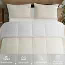 INGALIK  Sherpa Comforter Set, Soft Quilted Down Alternative Comforter Reversible Duvet with 2 Pillowcases, Plush Warm Fall Winter 3 Piece Bedding Sets