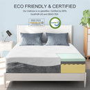 12 Inch Memory Foam Mattress, Adaptive Foam Mattress in a Box, Comfort Body Support & Pressure Relief, Medium Firm Foam Mattress, 100 Night Trial