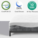 12 Inch Memory Foam Mattress, Adaptive Foam Mattress in a Box, Comfort Body Support & Pressure Relief, Medium Firm Foam Mattress, 100 Night Trial